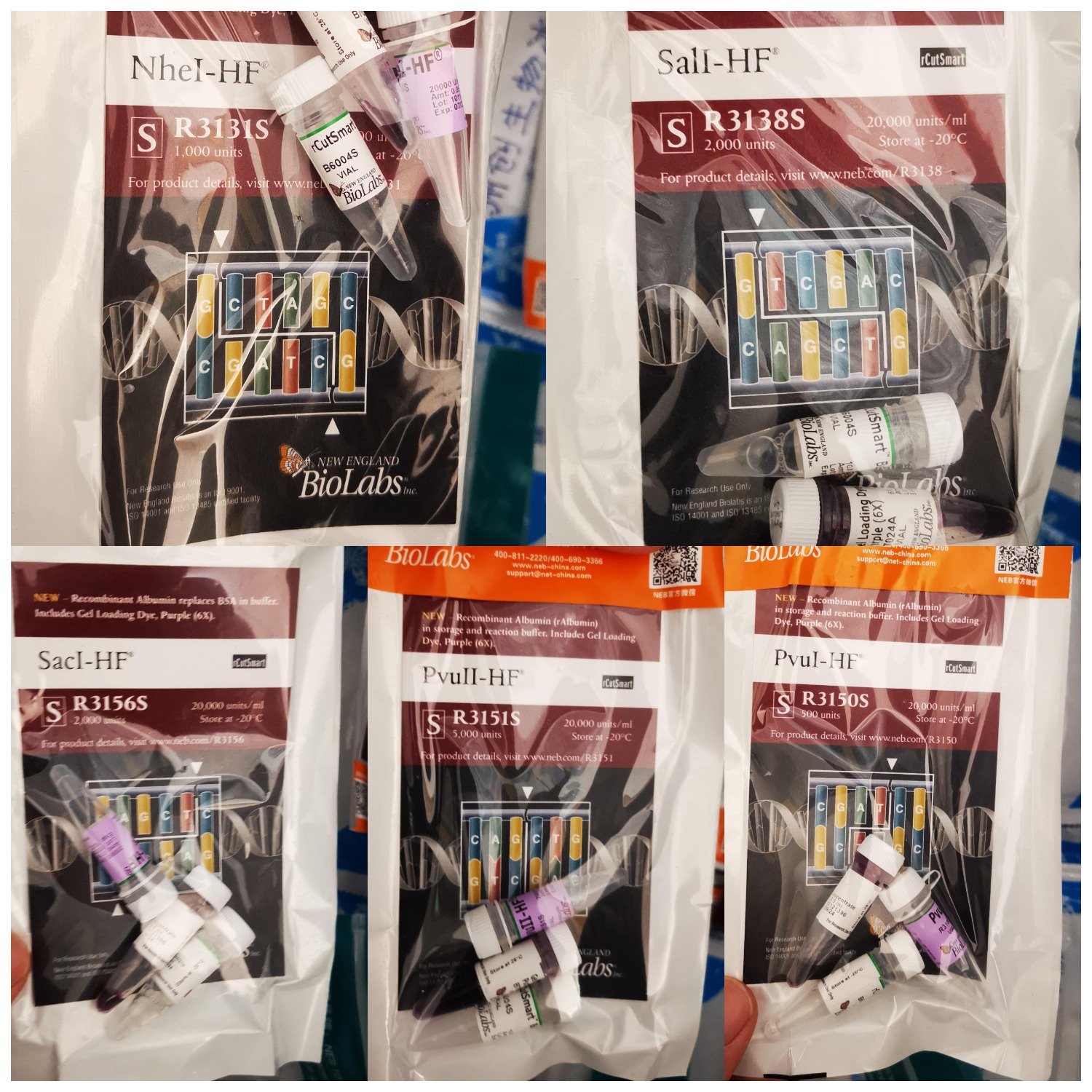 6289821a634e3.png 6289821a634e3.png