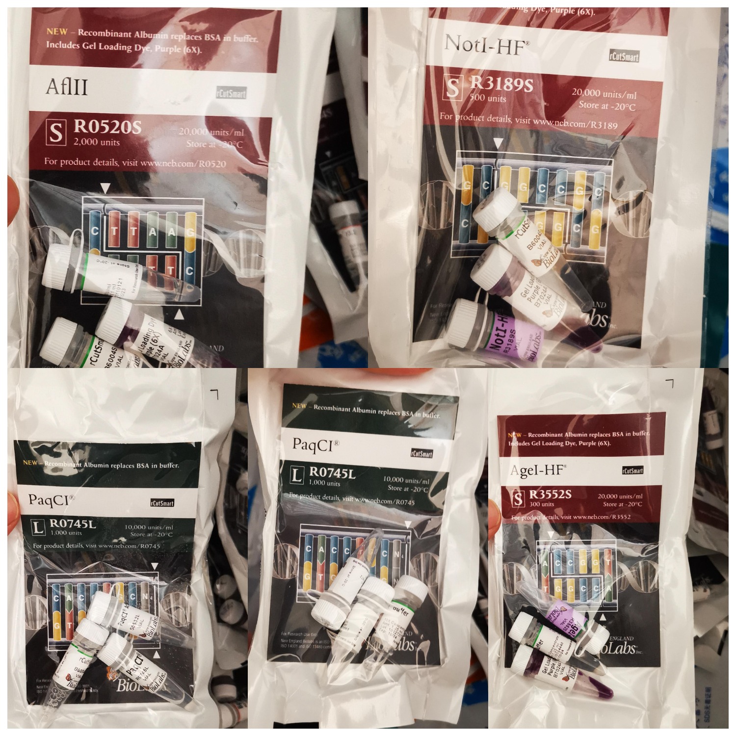 6289821b054f1.png 6289821b054f1.png