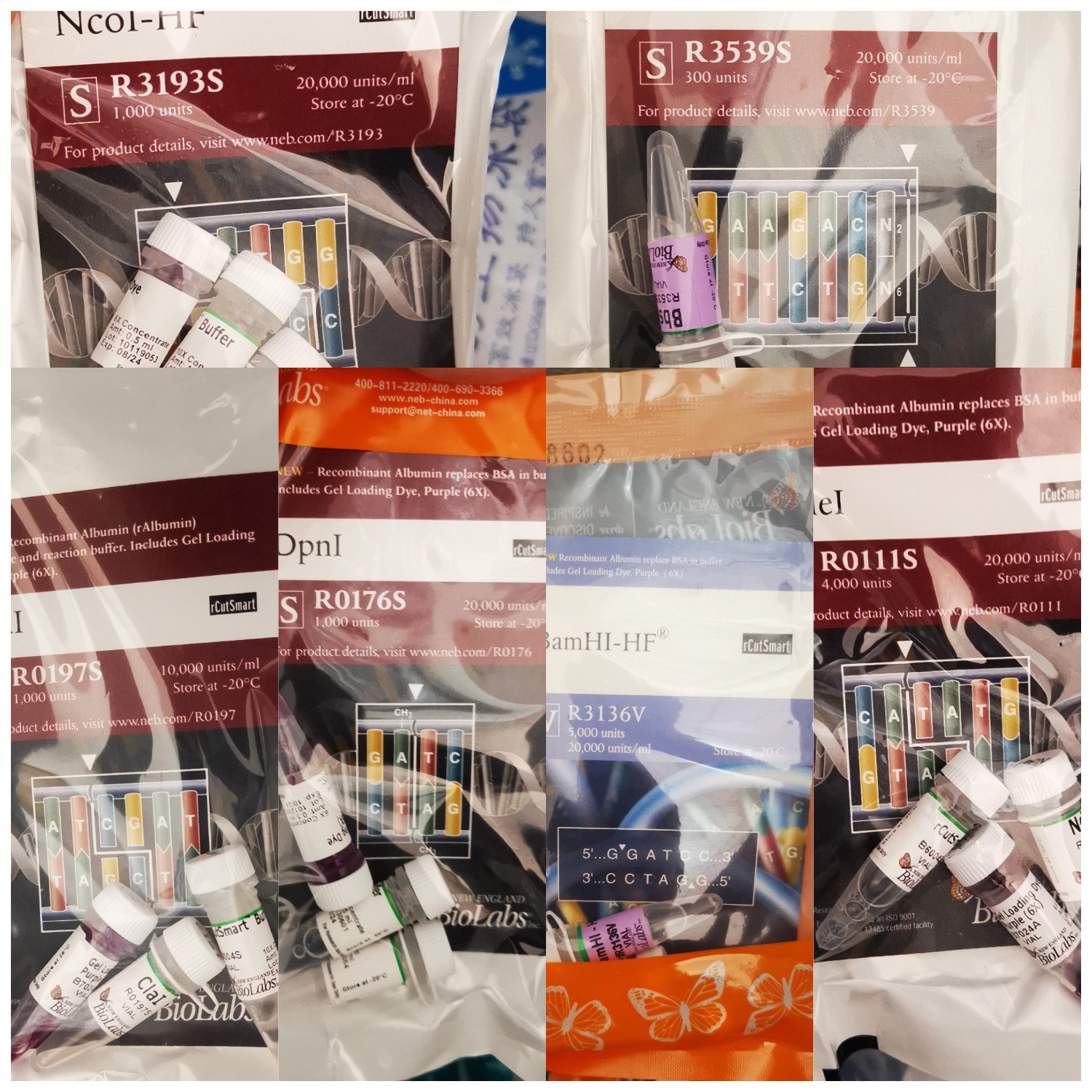 6289821bab92d.png 6289821bab92d.png