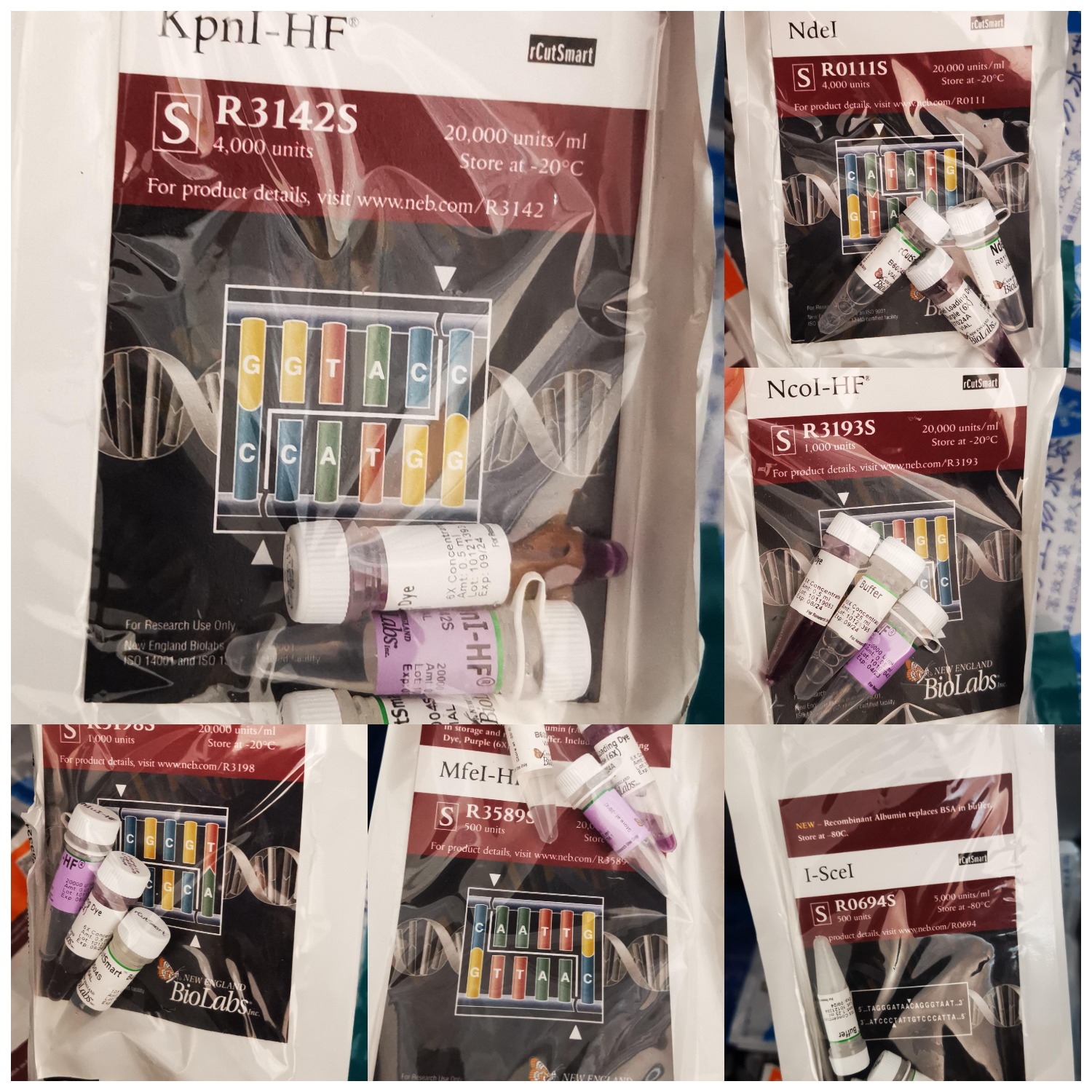 6289821bae40d.png 6289821bae40d.png