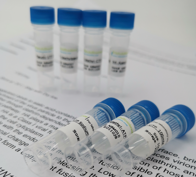 6474008c6dfd7.png 6474008c6dfd7.png