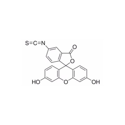 荧光素异硫氰酸酯异构体I 货号F7250.jpg