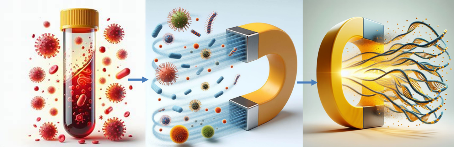 659ba33e35edc.png 659ba33e35edc.png