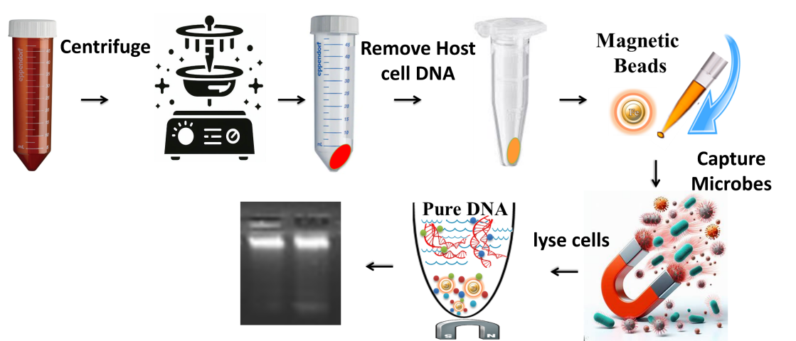 659ba4b097c59.png 659ba4b097c59.png