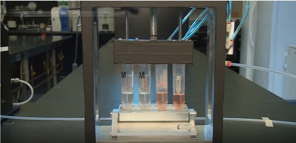 65b11f7c9abc0.png 65b11f7c9abc0.png