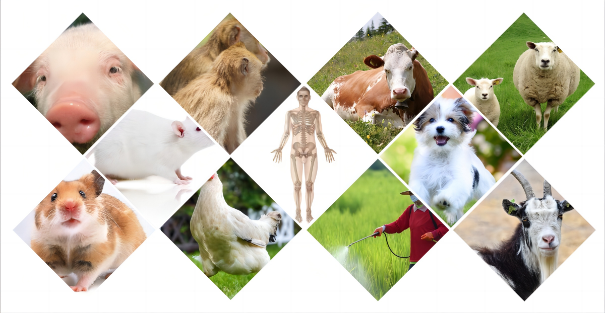 65f0e29085f99.png 65f0e29085f99.png