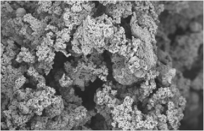 669f4f462ccc2.png 669f4f462ccc2.png