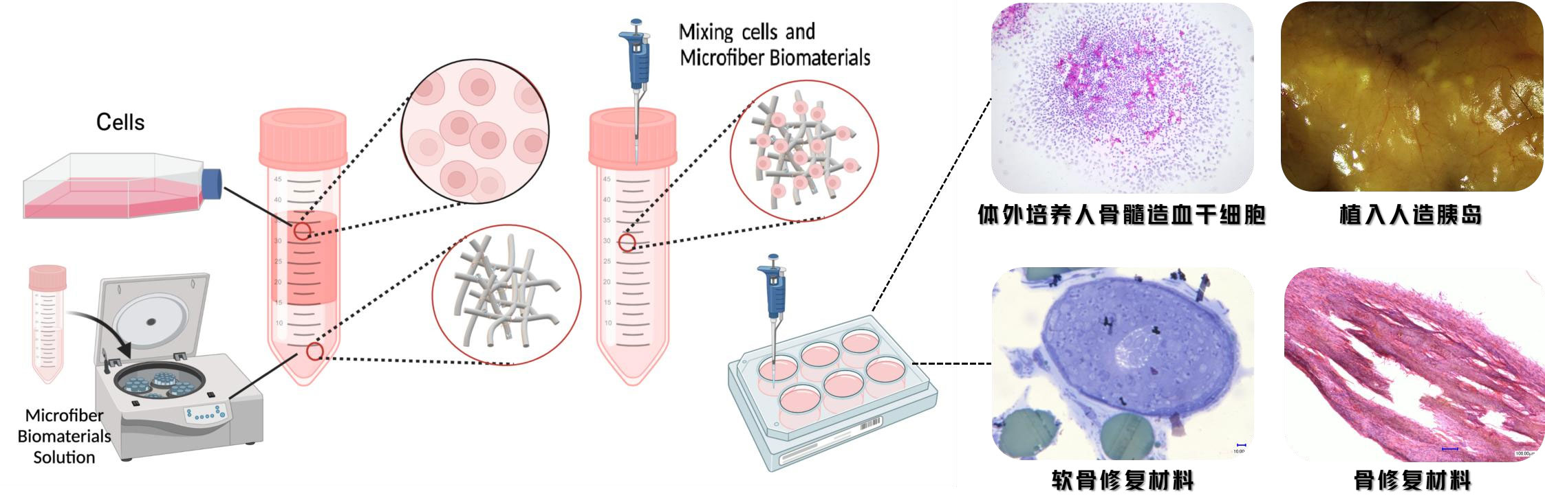 669f4f9233f1e.jpg 669f4f9233f1e.jpg