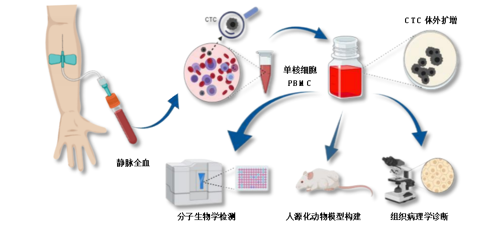 669f51cd8ec27.png 669f51cd8ec27.png