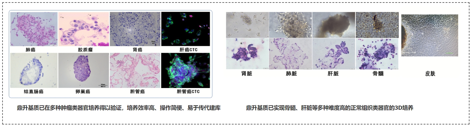 669f526b90539.png 微信截图_20240723142714.png