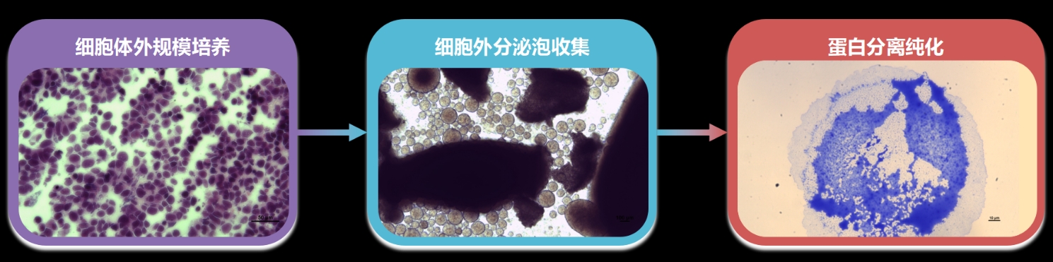 669f52c78ffed.png 微信截图_20240723142918.png