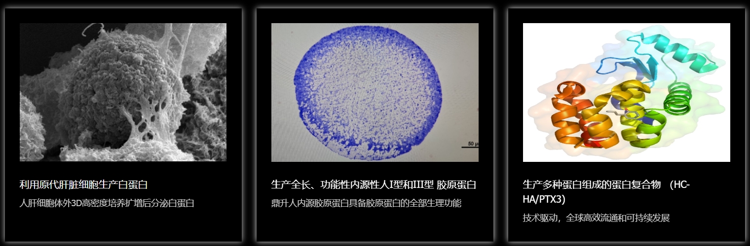 669f52d0585cc.png 微信截图_20240723142903.png