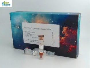 Nebulabio蛋白纯化工具 4比3(1).jpg