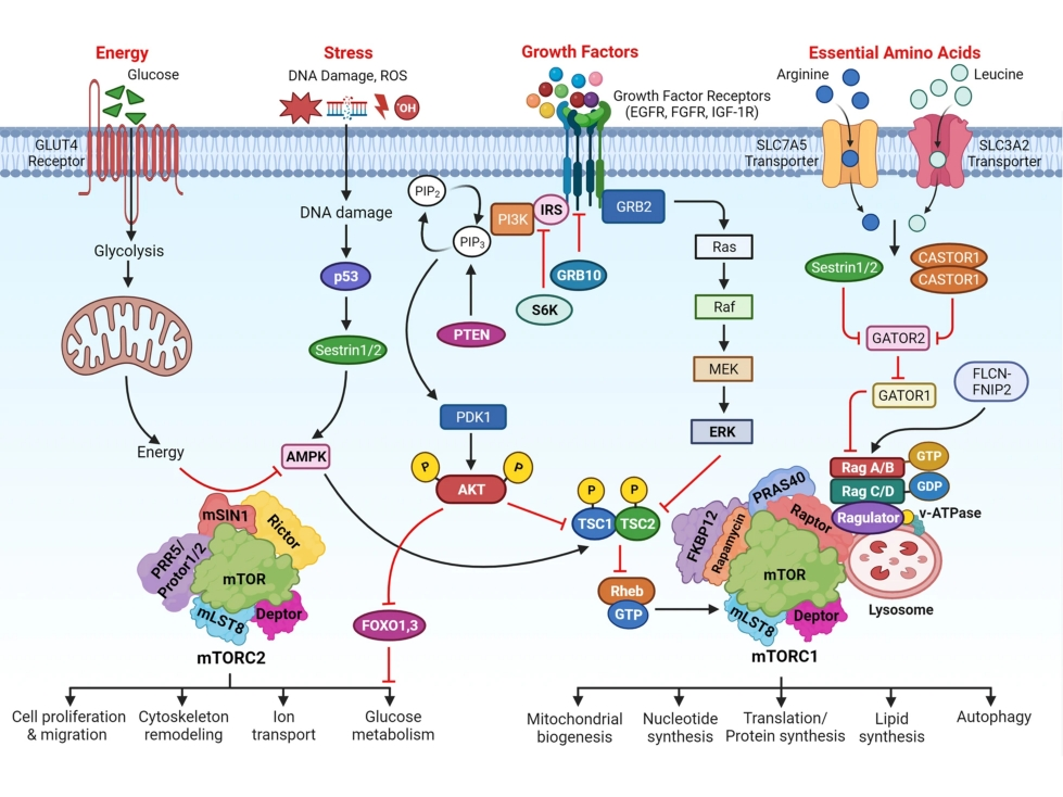 6773933d25189.png 4;3.png