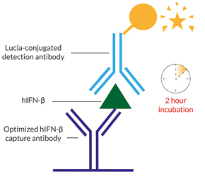 67c55a7fb7826.jpg lumikine-xpress-hifnb-small-invivogen.jpg