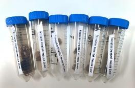 684b8390719eb.jpg 生物组织(1).jpg