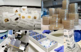 684b89f5811ab.png 生物试剂.png