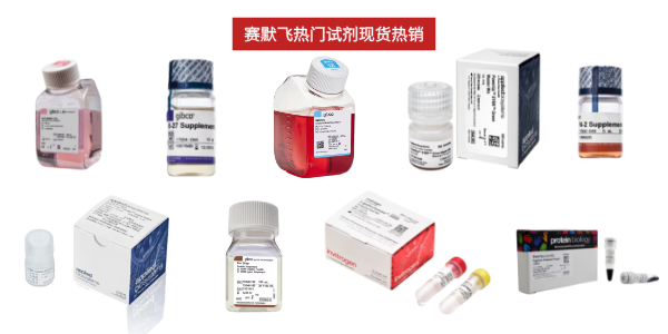 赛默飞试剂热销.png