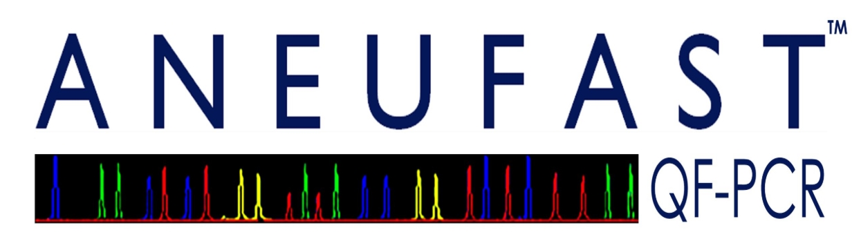 6878bf5f65065.png logo.png