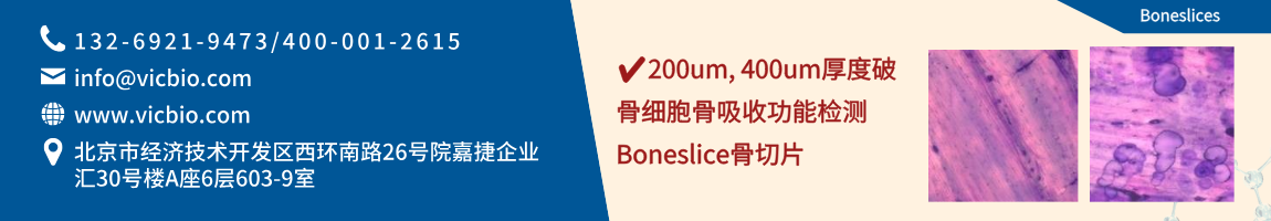 68883af7bd507.png Boneslices页面.png