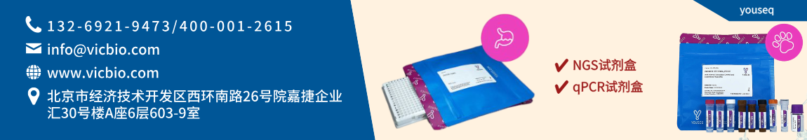 68a51c06254bd.png youseq页面.png