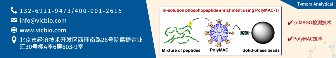 68a5428e1dd9c.png TymoraAnalytical页面.png