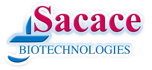 68aadbe1cd789.png logo-grande.png