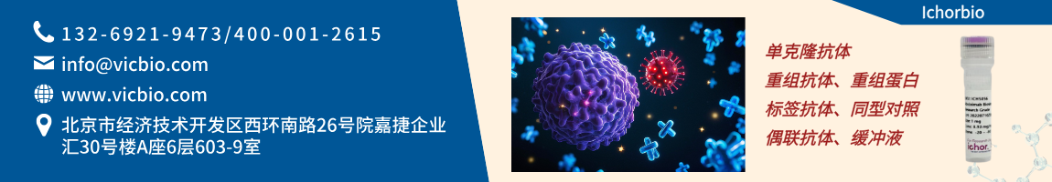 Ichorbio页面.png