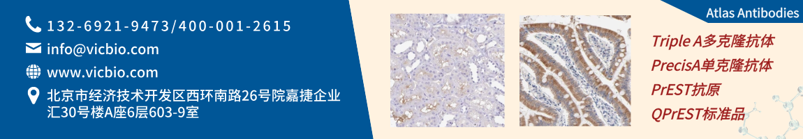 AtlasAntibodies页面.png