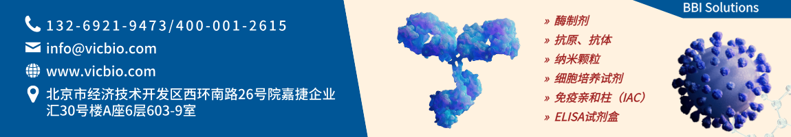 BBISolutions页面.png