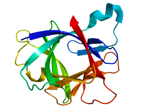 NBL-260005-IL-1 beta(1).png