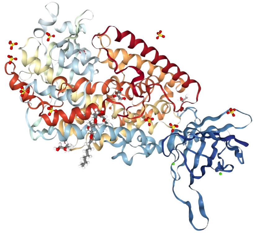 NBL-260014-15-Lipoxygenase 2(1).png
