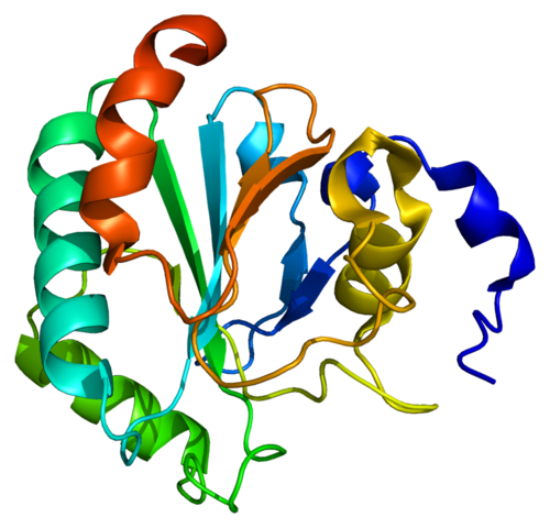 Protein_GPX4_PDB_2gs3.png