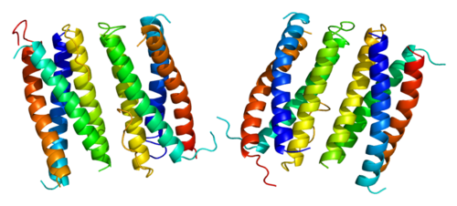 Protein_CNTF_PDB_1cnt.png