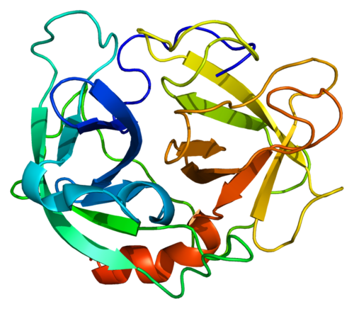 Protein_ELA2_PDB_1b0f.png