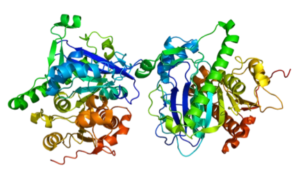 Protein_PLA2G7_PDB_3D59(1).png