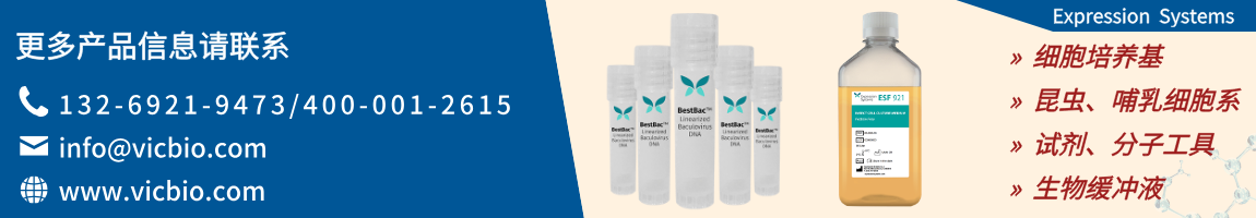 6971dcc30b9b5.png ExpressionSystems页面.png