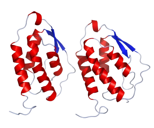GMCSF_Crystal_Structure.rsh(1).png