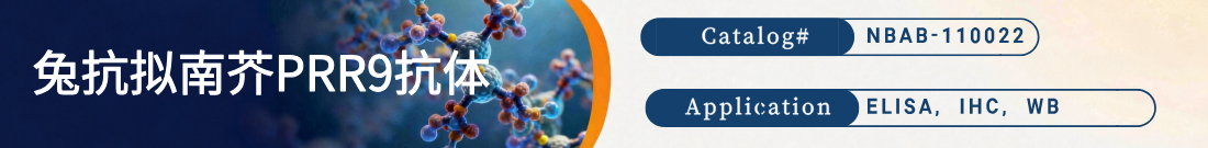 兔抗拟南芥PRR9抗体