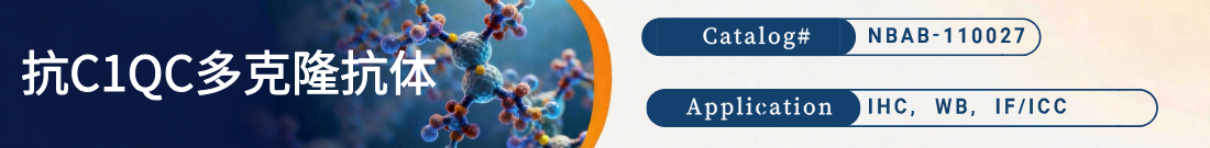 抗C1QC抗体