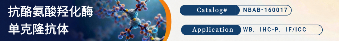 抗酪氨酸羟化酶抗体