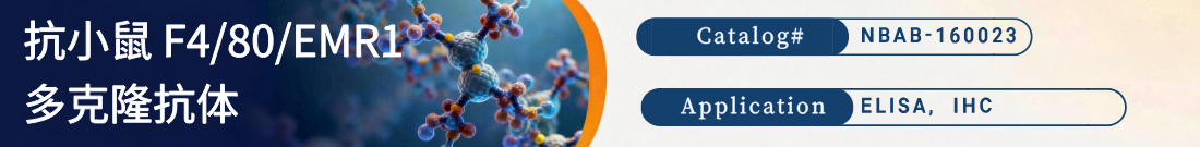 抗小鼠F4/80 / EMR1抗体