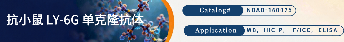 抗LY6G抗体 抗LY6G抗体