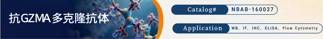 抗GZMA抗体 抗GZMA抗体