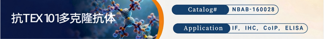抗TEX101抗体