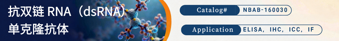 抗双链 RNA(dsRNA)抗体 抗双链 RNA(dsRNA)抗体