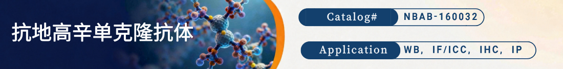 抗Digoxin (DGX)抗体