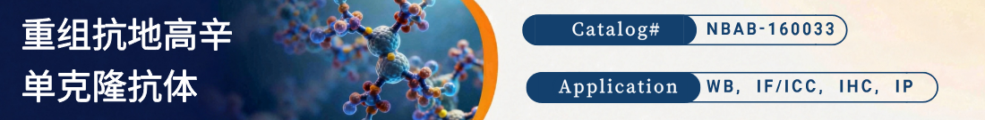 重组抗Digoxin (DGX)抗体