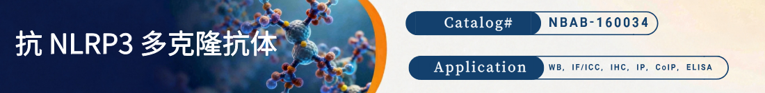 Anti-NLRP3 Polyclonal Antibody Anti-NLRP3 Polyclonal Antibody