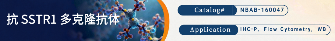 抗SSTR1抗体